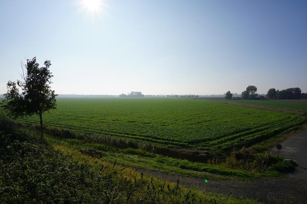 Herberg De Ring Dreischor Экстерьер фото